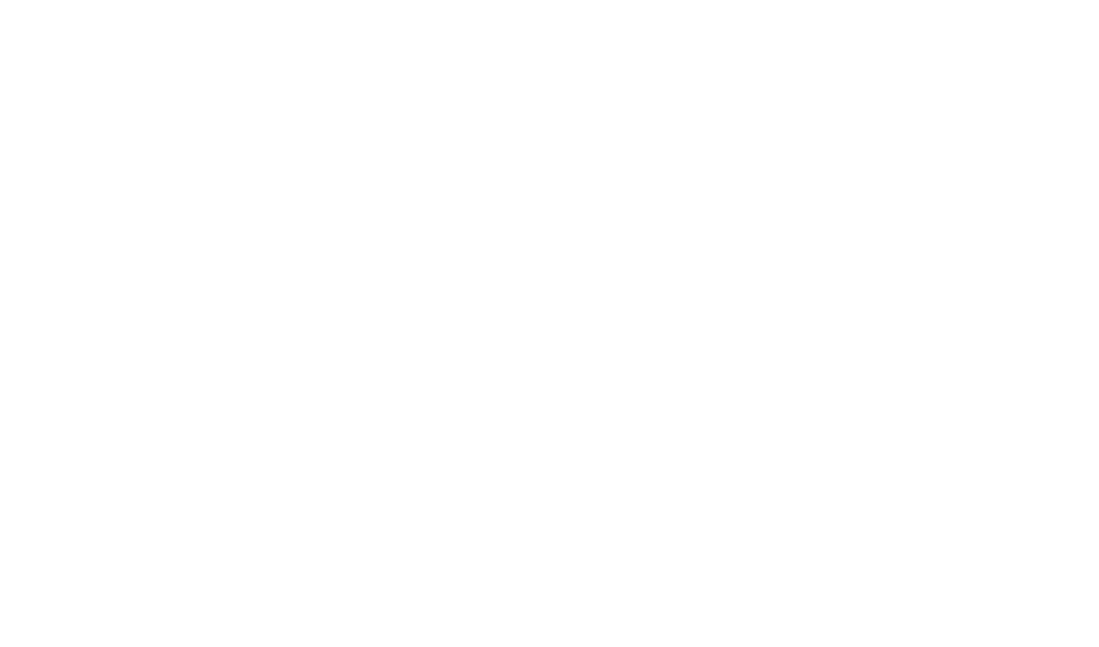 besa_launchpad_logos_master_whiteout