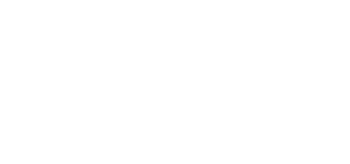ei-logo-white